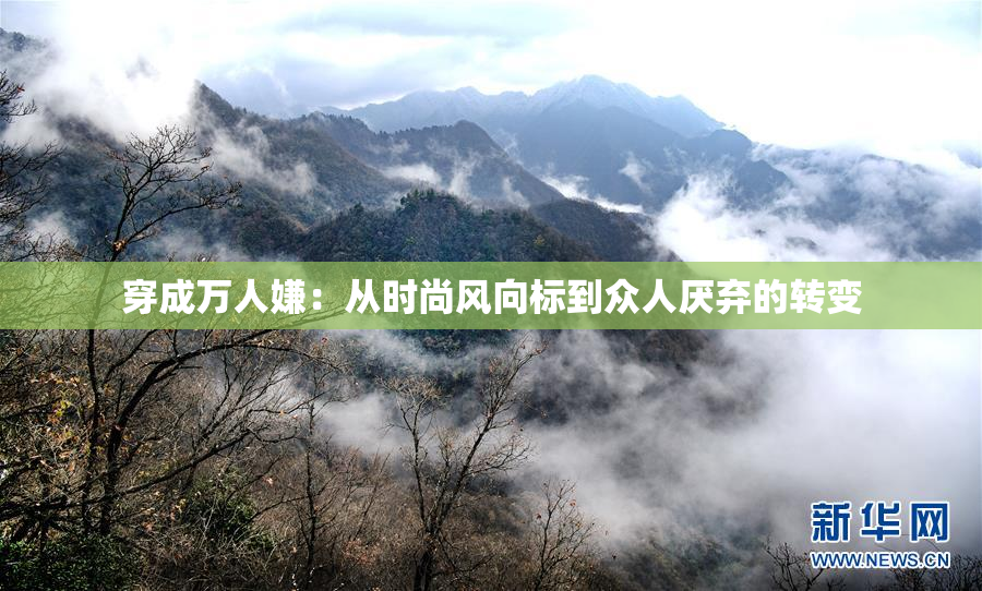 穿成万人嫌：从时尚风向标到众人厌弃的转变