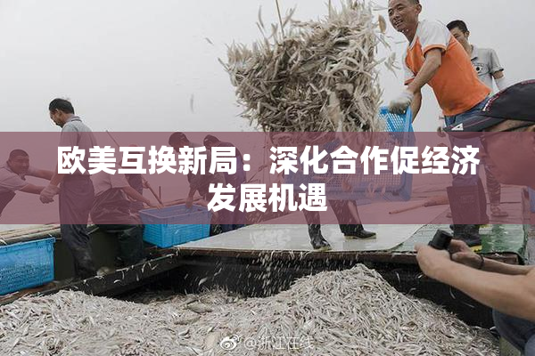 欧美互换新局：深化合作促经济发展机遇