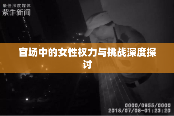 官场中的女性权力与挑战深度探讨