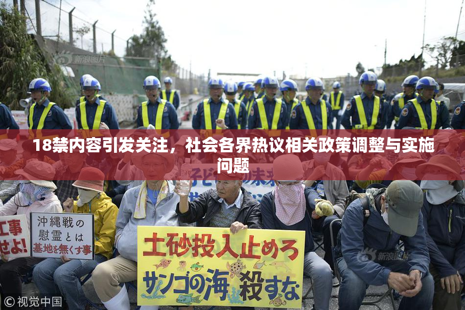 18禁内容引发关注，社会各界热议相关政策调整与实施问题