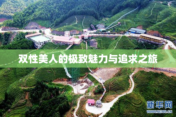 双性美人的极致魅力与追求之旅