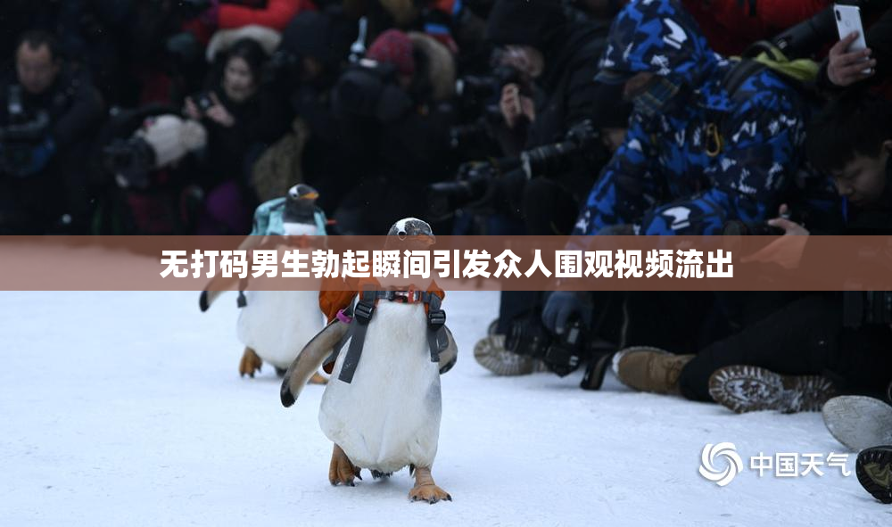 无打码男生勃起瞬间引发众人围观视频流出