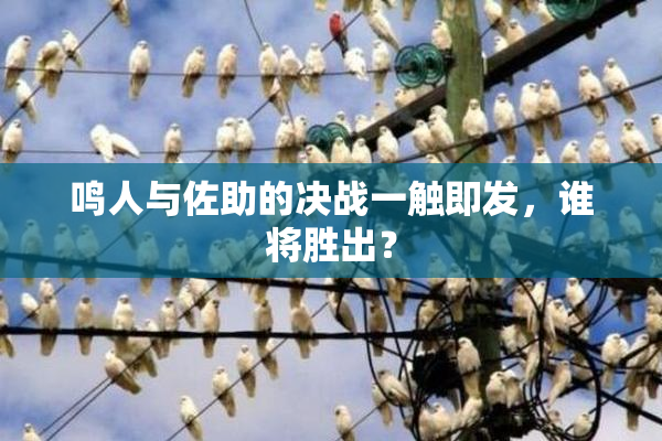 鸣人与佐助的决战一触即发，谁将胜出？