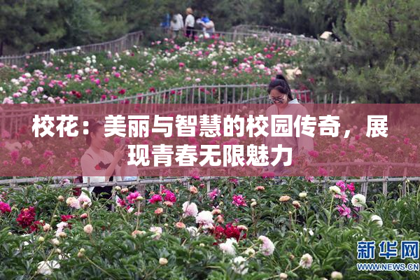 校花：美丽与智慧的校园传奇，展现青春无限魅力