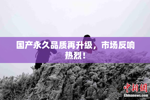 国产永久品质再升级，市场反响热烈！