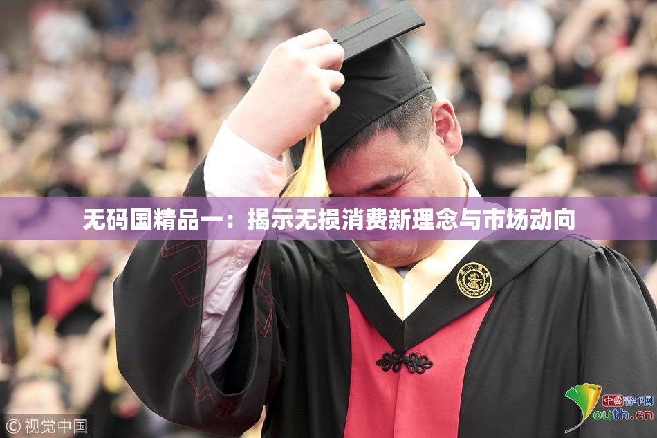 无码国精品一：揭示无损消费新理念与市场动向