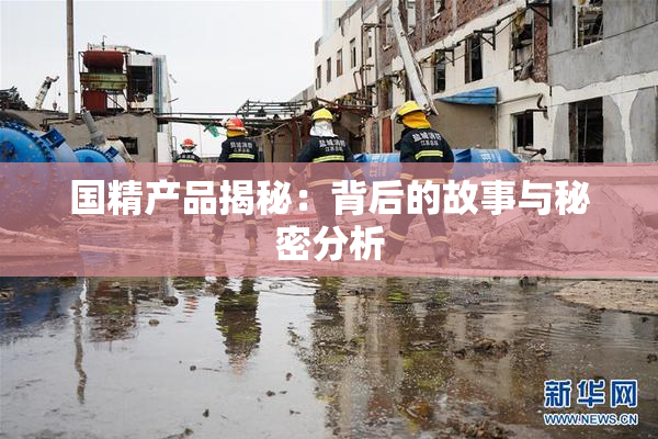国精产品揭秘：背后的故事与秘密分析