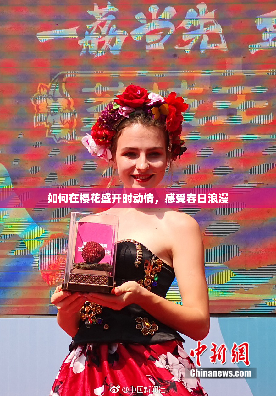 如何在樱花盛开时动情，感受春日浪漫