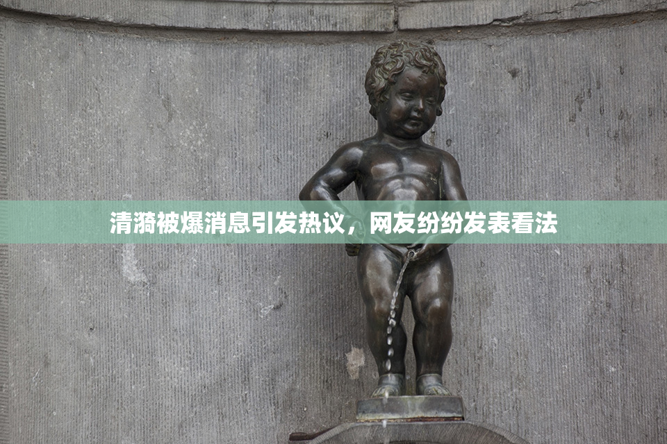 清漪被爆消息引发热议，网友纷纷发表看法