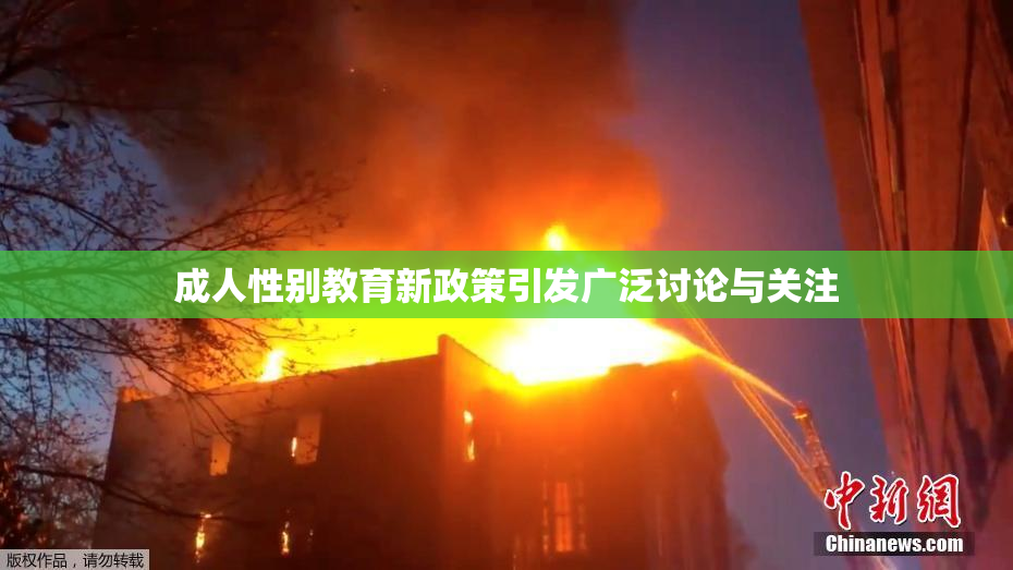 成人性别教育新政策引发广泛讨论与关注