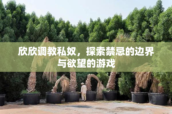 欣欣调教私奴，探索禁忌的边界与欲望的游戏