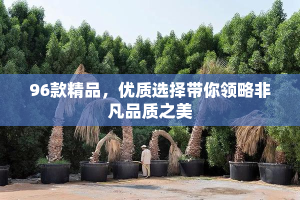 96款精品，优质选择带你领略非凡品质之美
