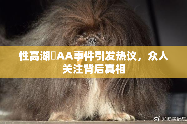性高湖婬AA事件引发热议，众人关注背后真相