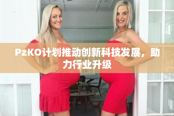 PzKO计划推动创新科技发展，助力行业升级