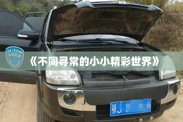 《不同寻常的小小精彩世界》