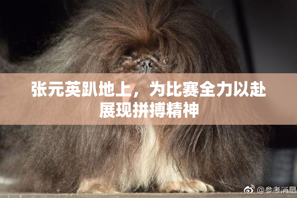 张元英趴地上，为比赛全力以赴展现拼搏精神