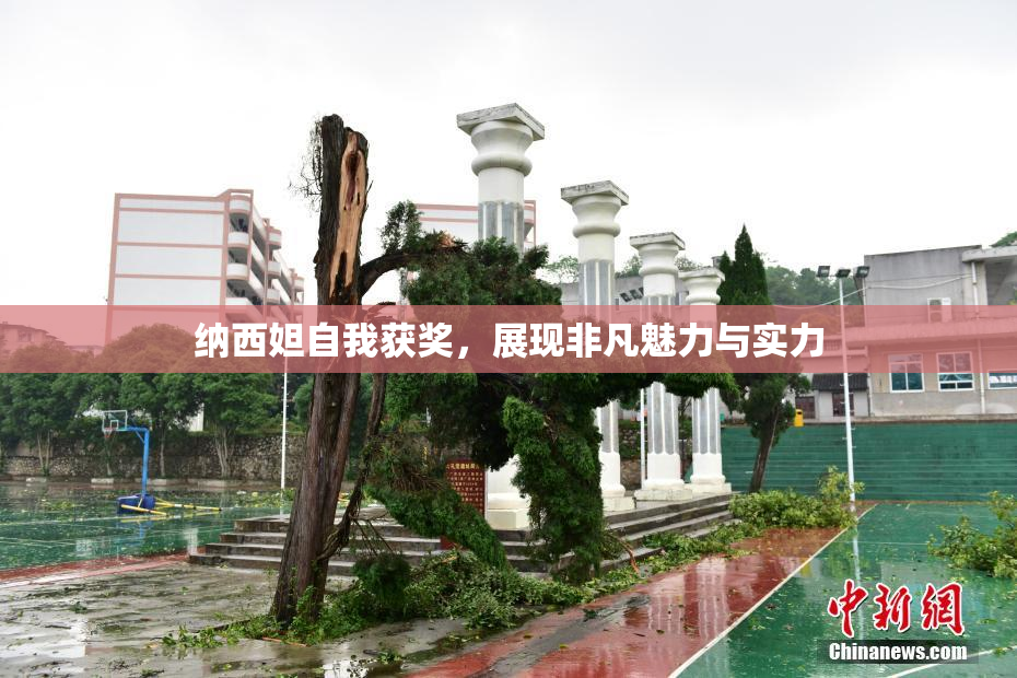 纳西妲自我获奖，展现非凡魅力与实力
