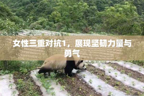 女性三重对抗1，展现坚韧力量与勇气