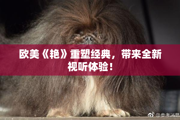 欧美《艳》重塑经典，带来全新视听体验！