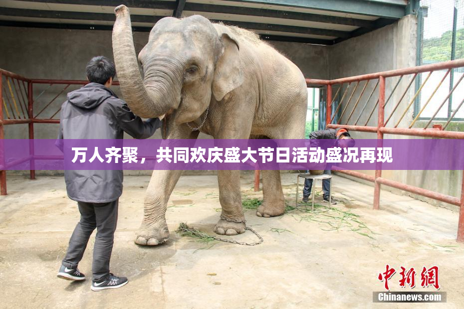 万人齐聚，共同欢庆盛大节日活动盛况再现