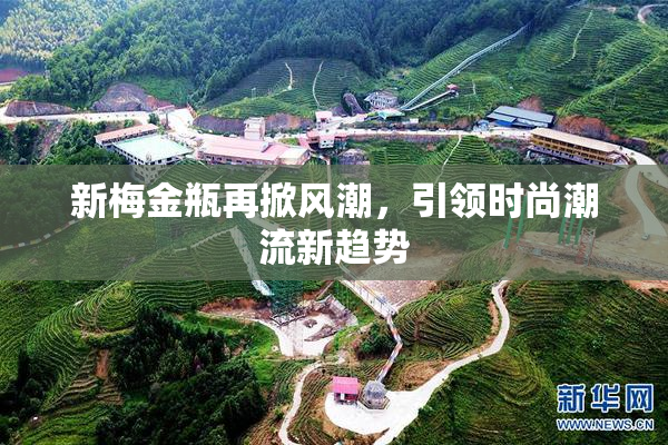新梅金瓶再掀风潮，引领时尚潮流新趋势