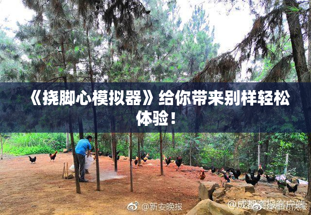 《挠脚心模拟器》给你带来别样轻松体验！