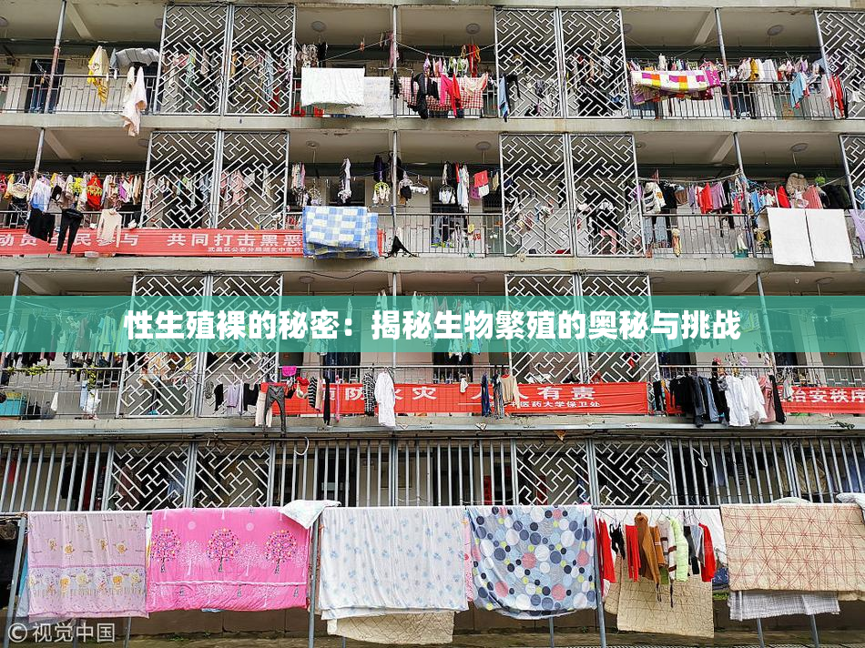 性生殖裸的秘密：揭秘生物繁殖的奥秘与挑战