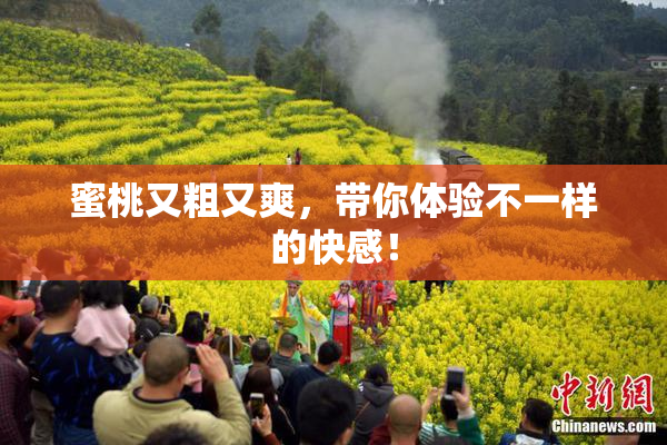 蜜桃又粗又爽，带你体验不一样的快感！