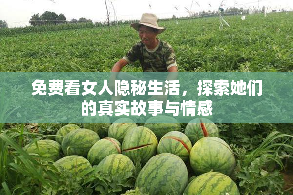免费看女人隐秘生活，探索她们的真实故事与情感