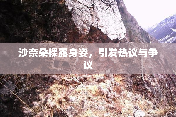 沙奈朵裸露身姿，引发热议与争议