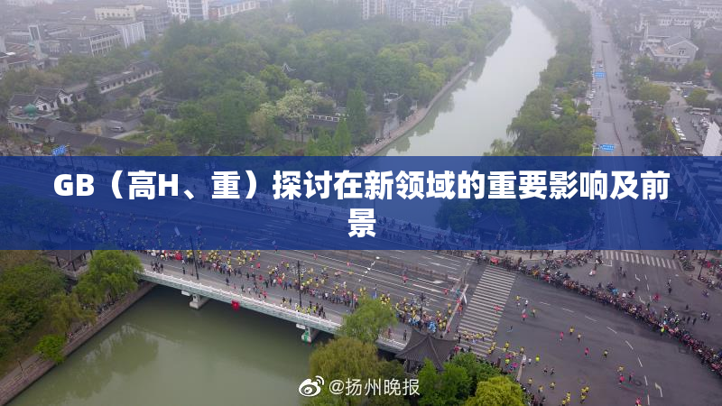 GB（高H、重）探讨在新领域的重要影响及前景
