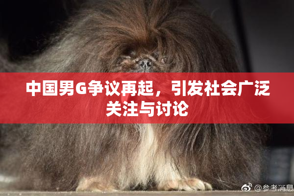 中国男G争议再起，引发社会广泛关注与讨论
