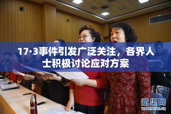 17·3事件引发广泛关注，各界人士积极讨论应对方案