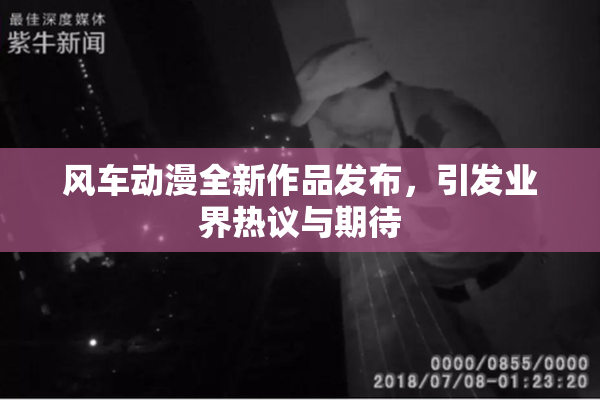 风车动漫全新作品发布，引发业界热议与期待