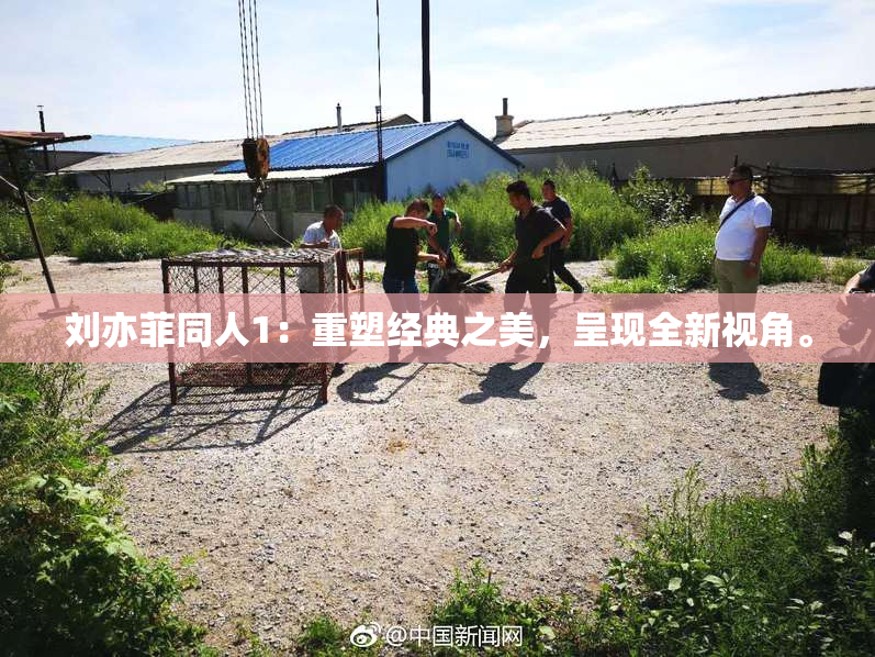 刘亦菲同人1：重塑经典之美，呈现全新视角。