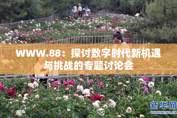 WWW.88：探讨数字时代新机遇与挑战的专题讨论会