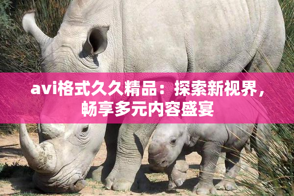 avi格式久久精品：探索新视界，畅享多元内容盛宴