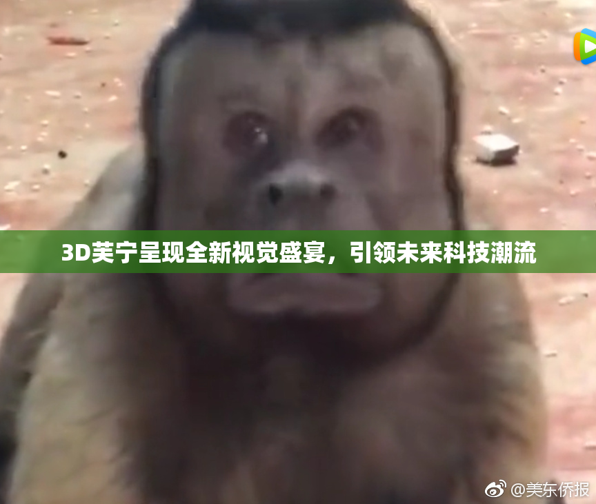3D芙宁呈现全新视觉盛宴，引领未来科技潮流
