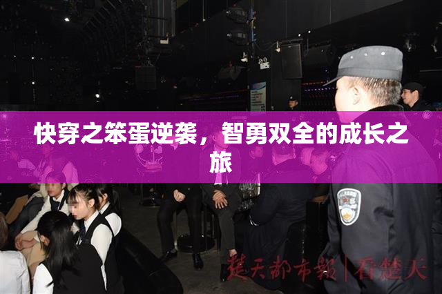 快穿之笨蛋逆袭，智勇双全的成长之旅