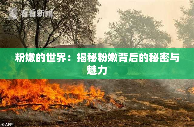 粉嫩的世界：揭秘粉嫩背后的秘密与魅力