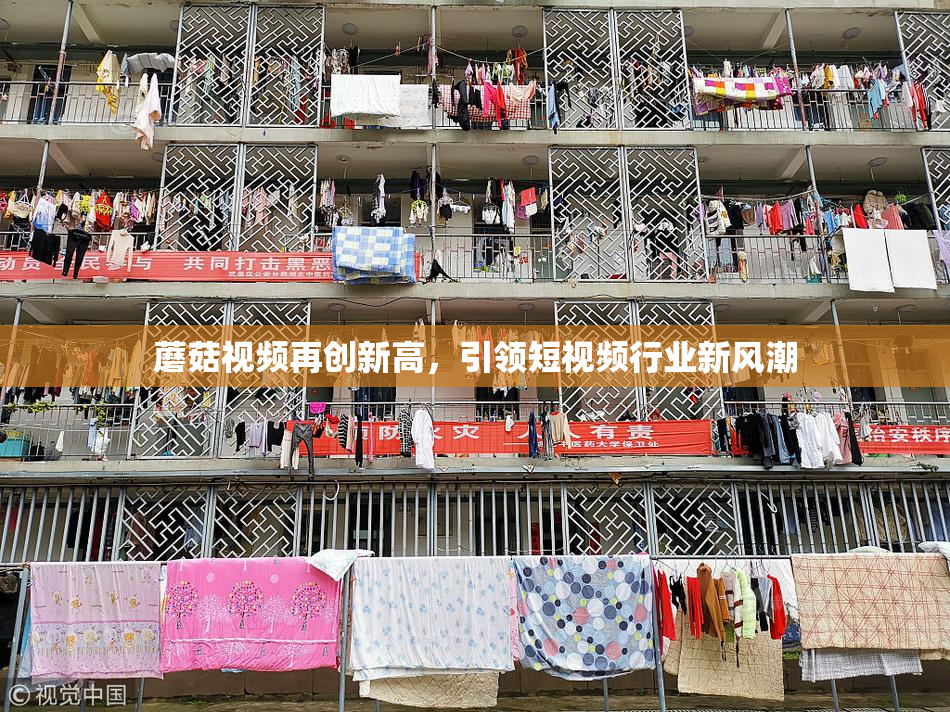 蘑菇视频再创新高，引领短视频行业新风潮