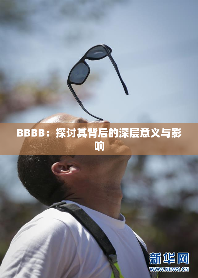BBBB：探讨其背后的深层意义与影响