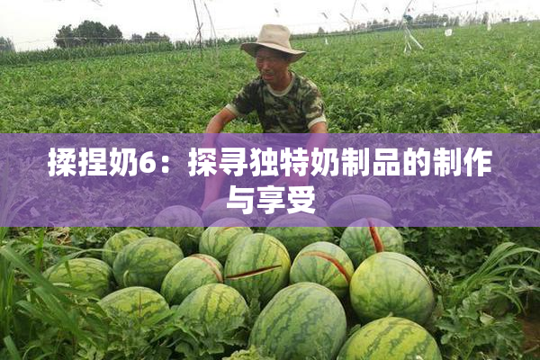 揉捏奶6：探寻独特奶制品的制作与享受