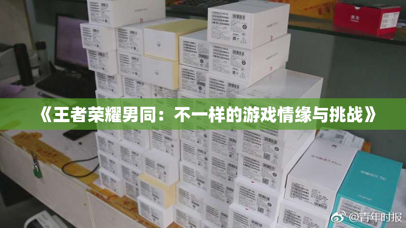 《王者荣耀男同：不一样的游戏情缘与挑战》