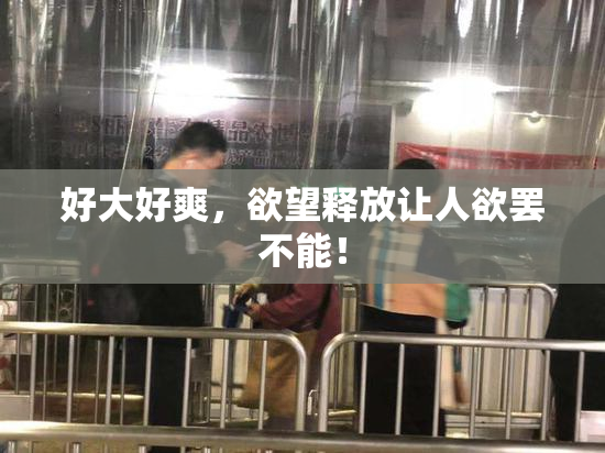 好大好爽，欲望释放让人欲罢不能！