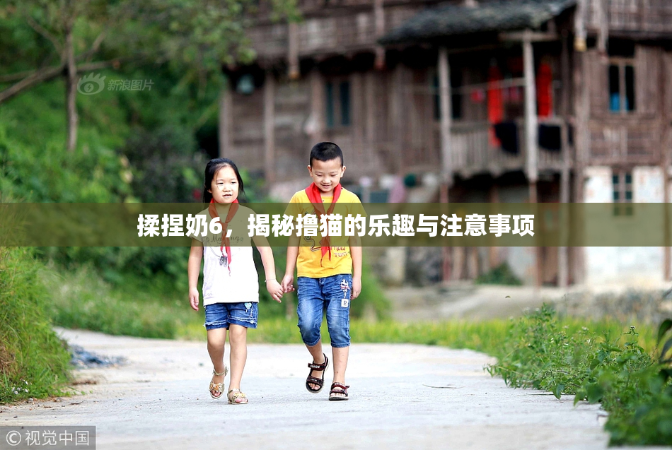 揉捏奶6，揭秘撸猫的乐趣与注意事项