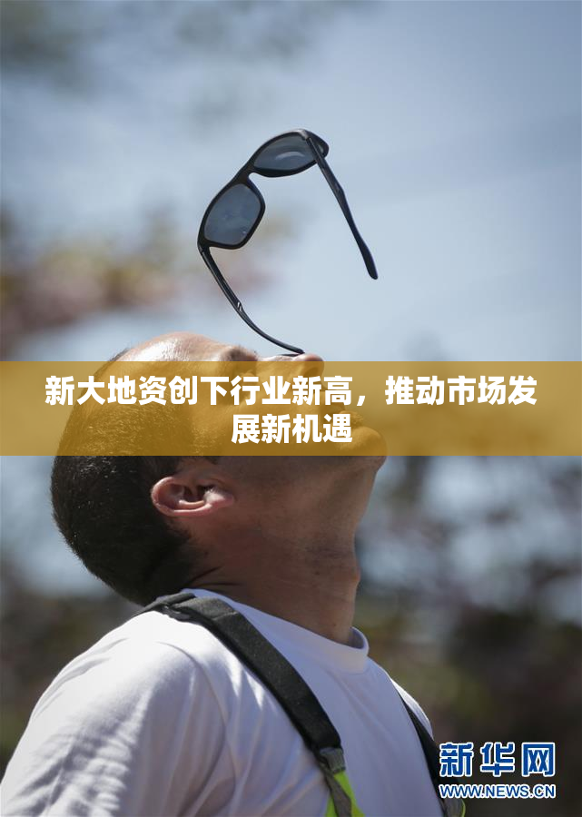 新大地资创下行业新高，推动市场发展新机遇