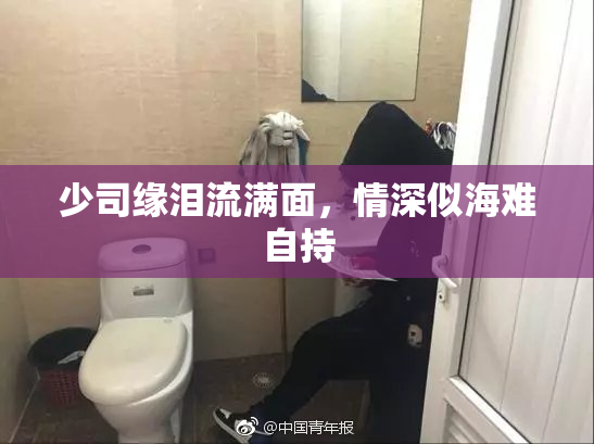 少司缘泪流满面，情深似海难自持