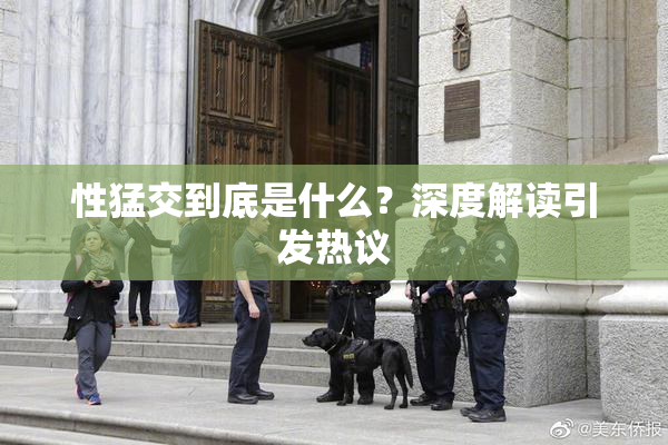 性猛交到底是什么？深度解读引发热议