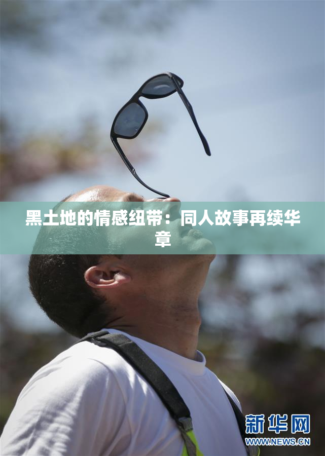 黑土地的情感纽带：同人故事再续华章